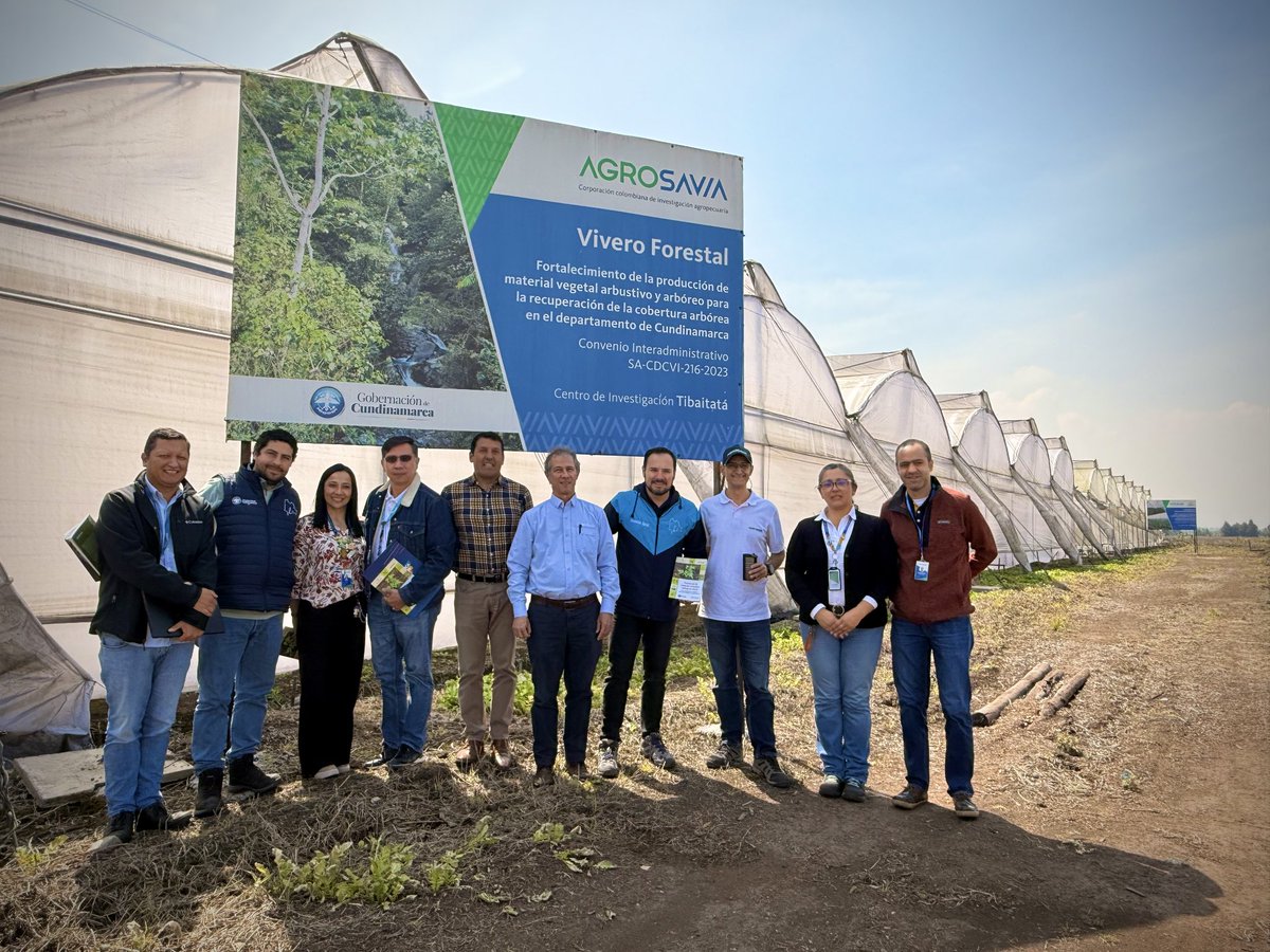 SBVerdeCund's tweet photo. Sembrar vida también es construir futuro. 🌱
En Cundinamarca fortalecemos la restauración ambiental junto @SomosAgrosavia, produciendo y entregando más de 416.000 plantas de 52 especies nativas, impulsando acciones reales para recuperar nuestros ecosistemas. https://t.co/RCyX1L3VnA
