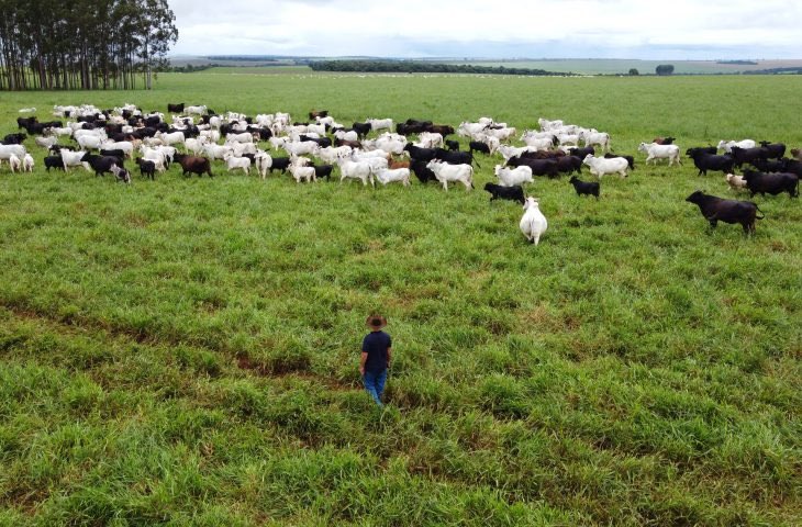 Governo de Mato Grosso do Sul tweet media