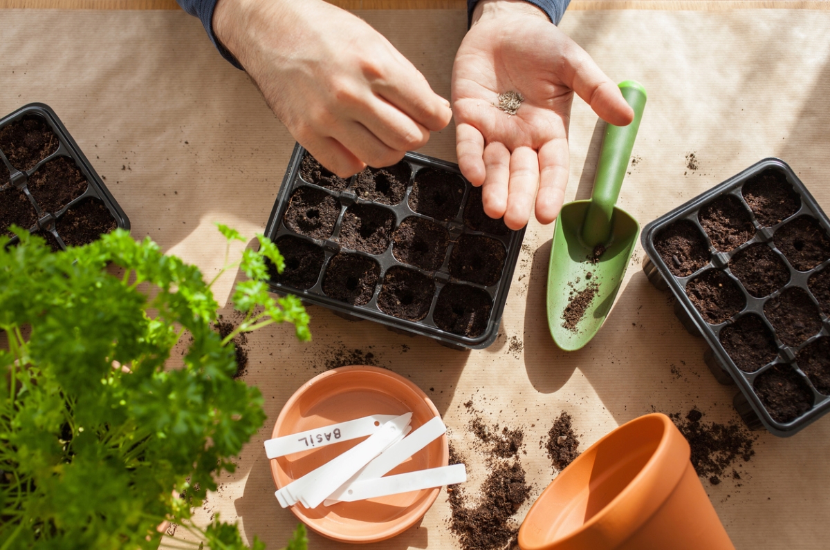 DustinMPeyser's tweet image. The Best Time to Start Seeds Indoors for a Thriving Spring Garden dlvr.it/TRJ2VT 👉 Reveal Your ROI bit.ly/MyHomeAI 👈 #Gardening #SeedStarting #SpringGarden #IndoorGardening #PlantingSeeds