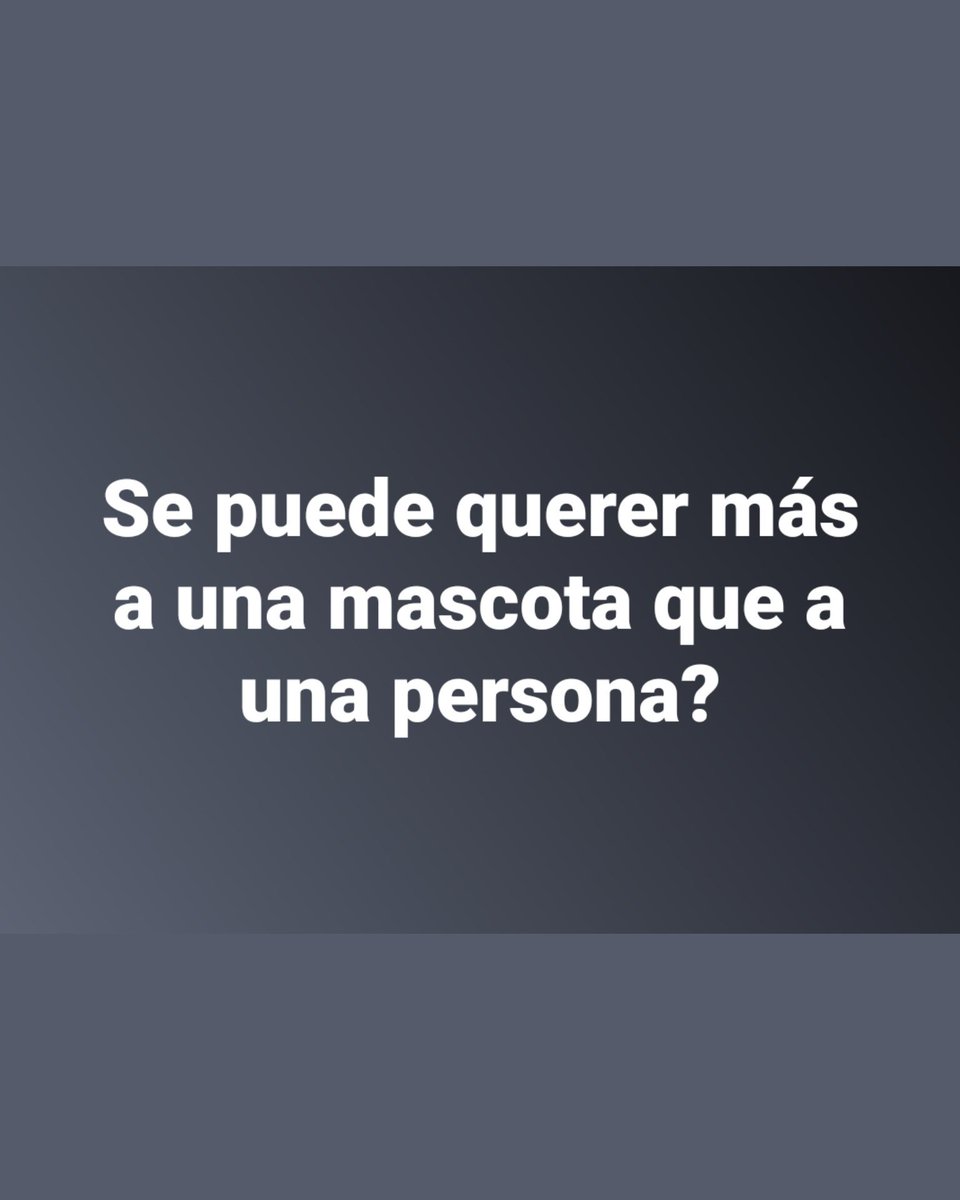 El CondeNado tweet media