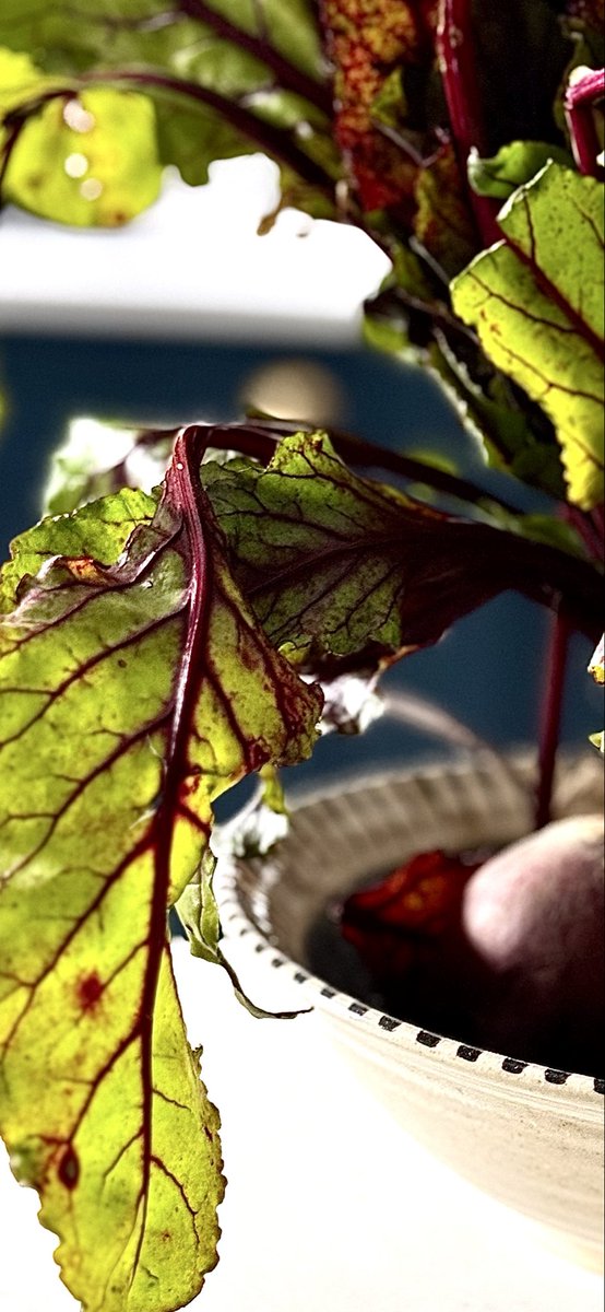 JOHN BENSON-SMITH tweet media