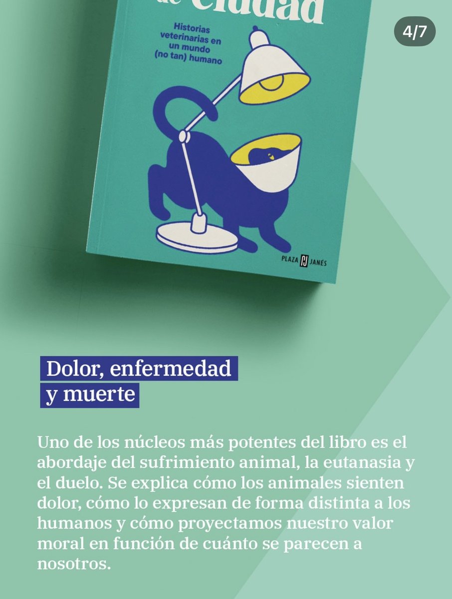 Victor Algra tweet media