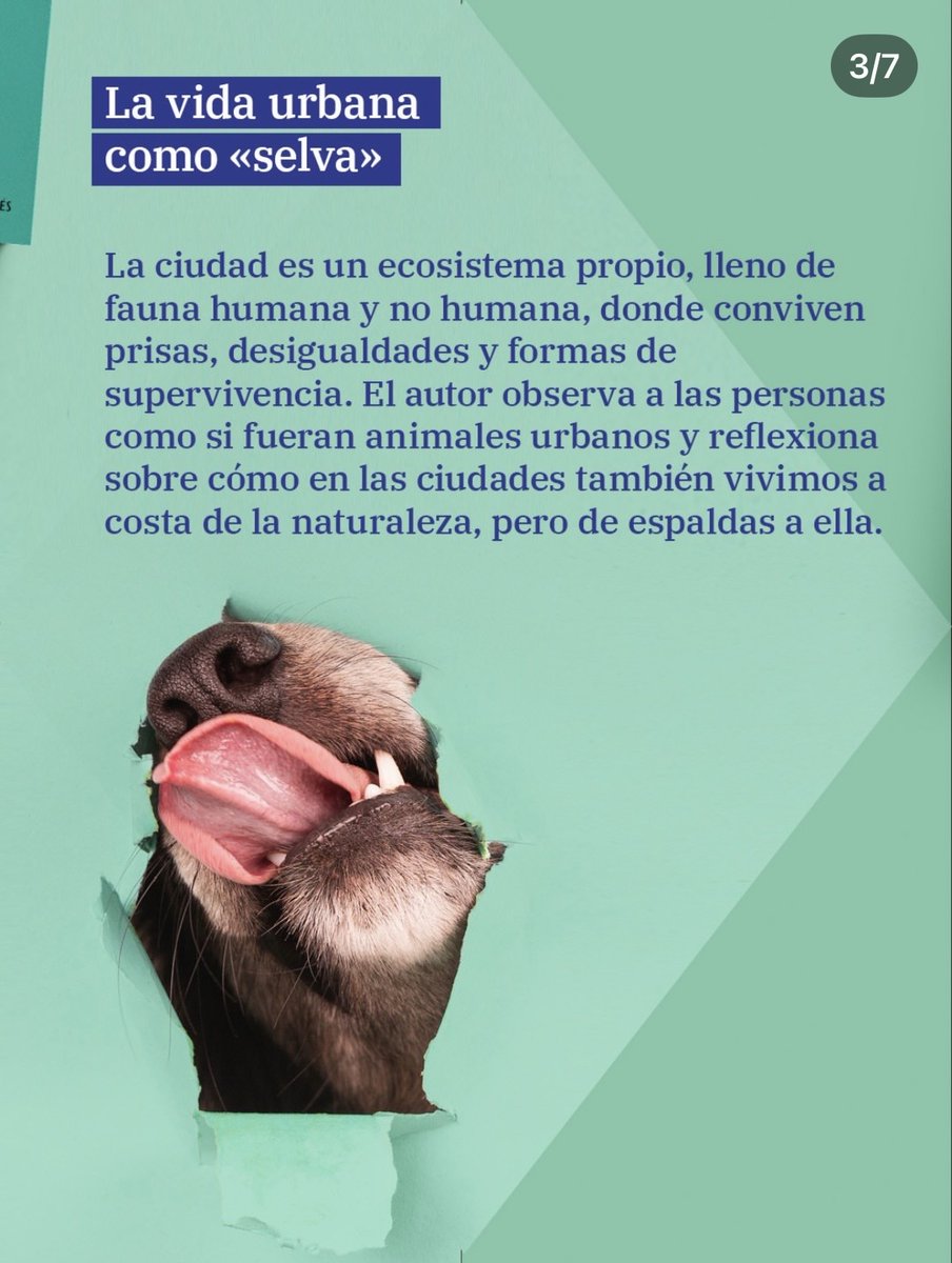 Victor Algra tweet media