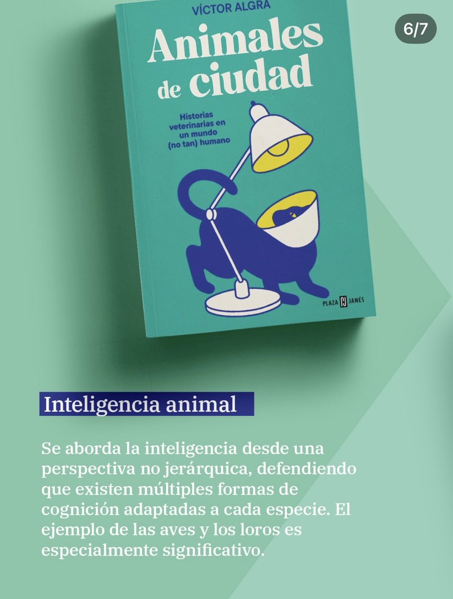 Victor Algra tweet media