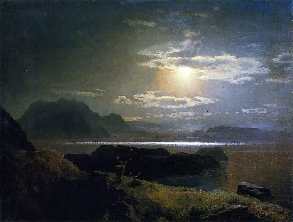 Dorothea tweet media