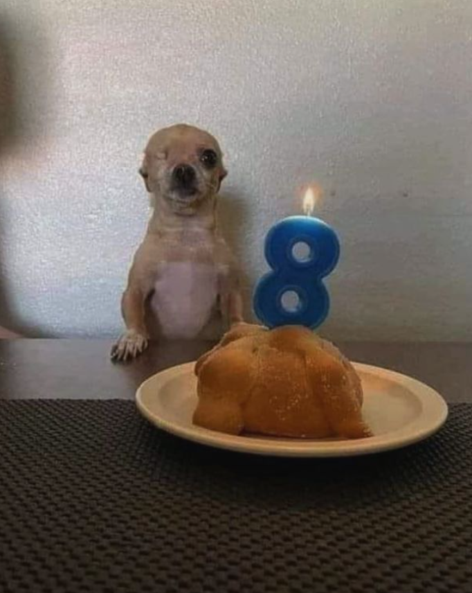 No one has the time to like my picture.