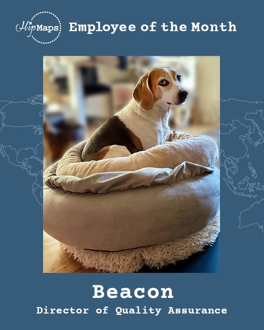 HipMaps_Wander_Aimfully tweet media