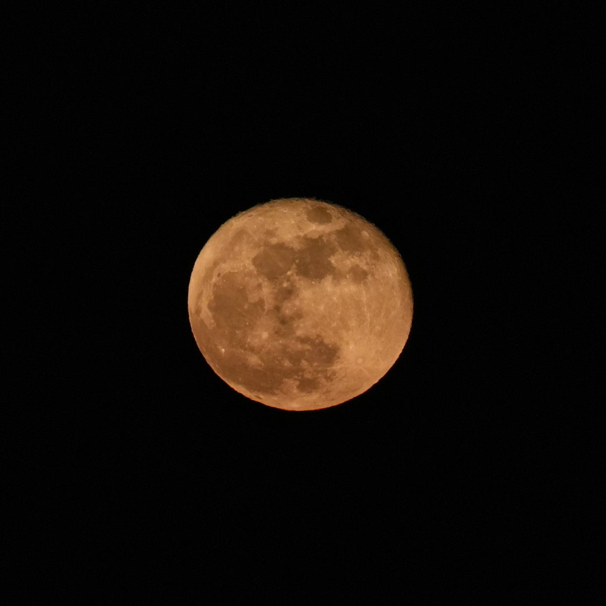 karen_cripps's tweet photo. Wow look up at the moon right now. It looks huge and orange! Reading UK, picture handheld from my window. #moon #moonhour #orangemoon #marchmoon https://t.co/xAWDy7I2aX
