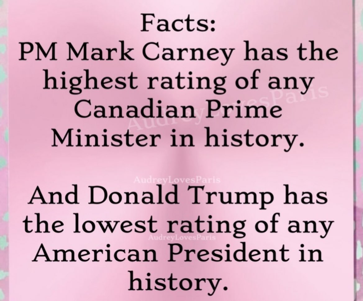 Bethany Belton tweet media