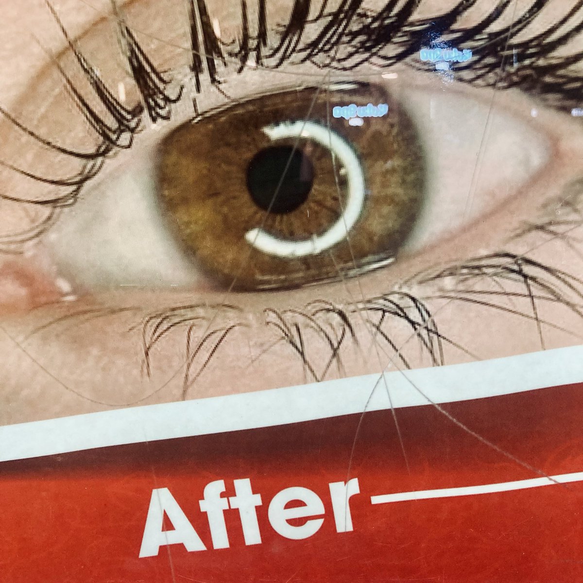 Common Name tweet media