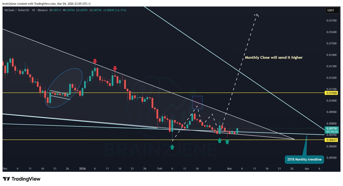 Brain2jene💫 tweet media