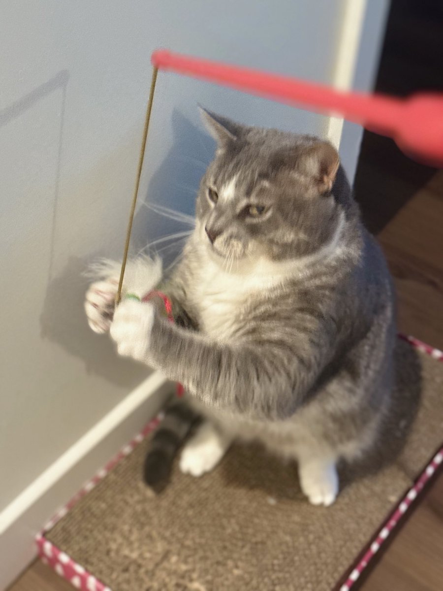 Not a Chalmers tweet media