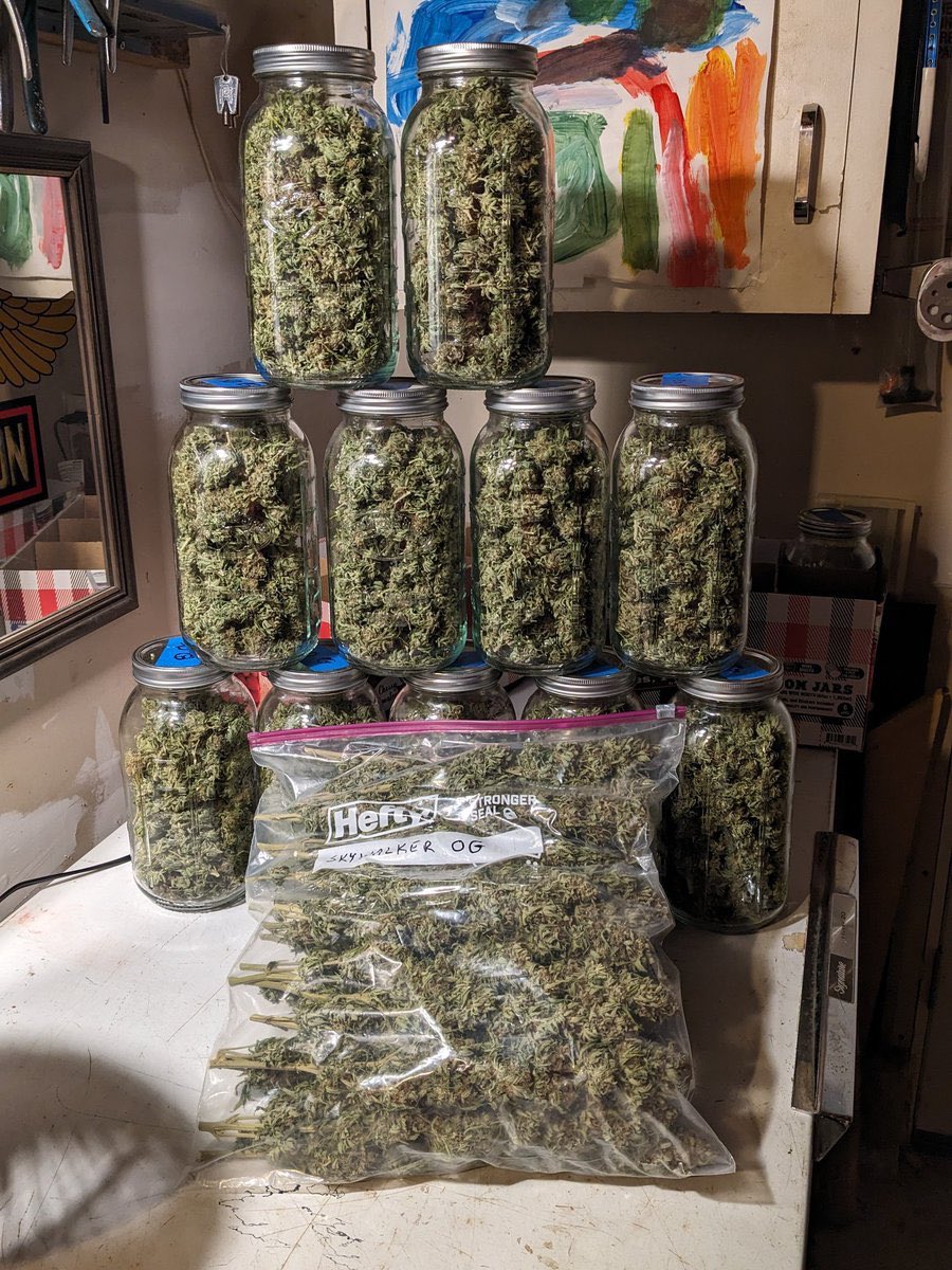 STONERS R US 🍃 tweet media