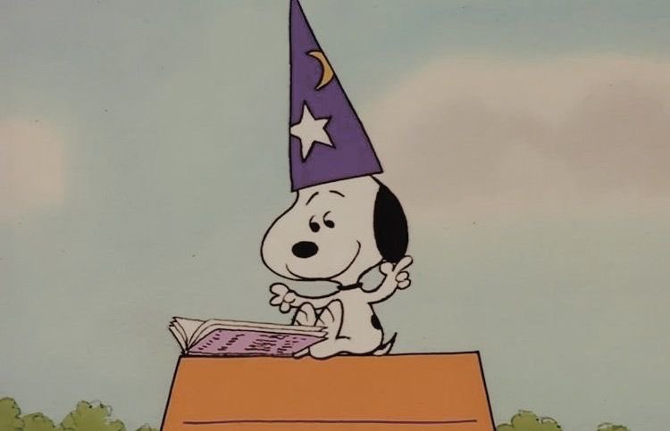 snoopy lover tweet media