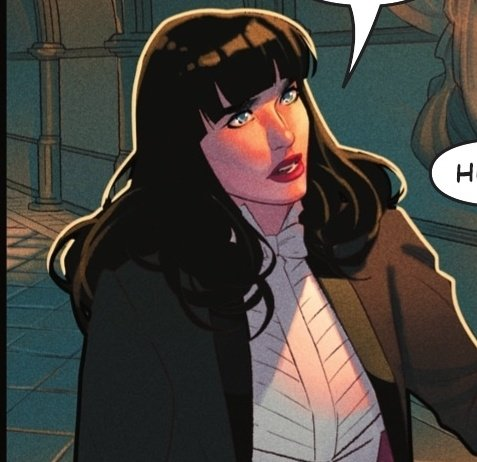 — 𝒵 .ᐟ tweet media