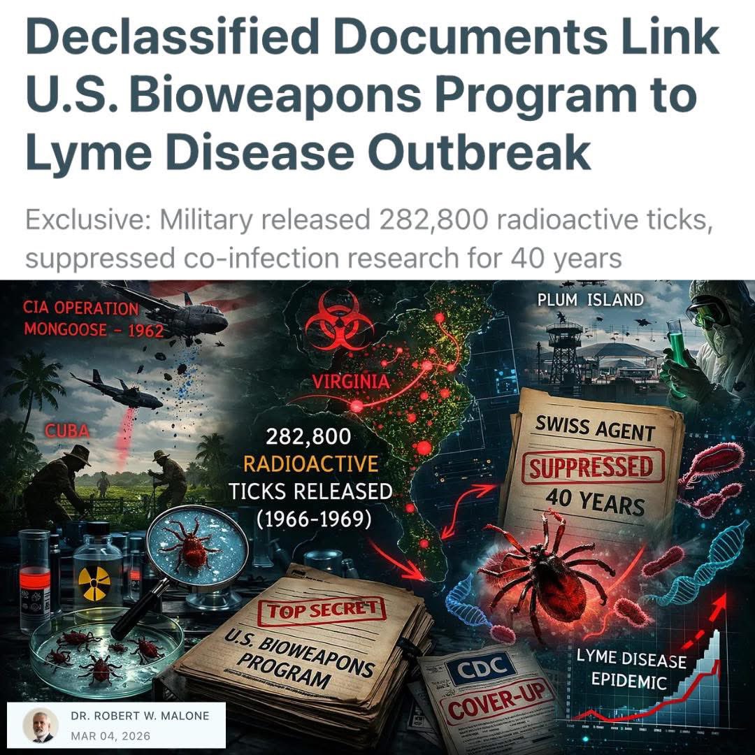 DanielGilr44222's tweet image. Declassified U.S. military tick research (Plum Island, Fort Detrick, Project 112, 1960s radioactive lone star tick releases) questions accidental role in Lyme's rapid 1970s spread near CT/Long Island.