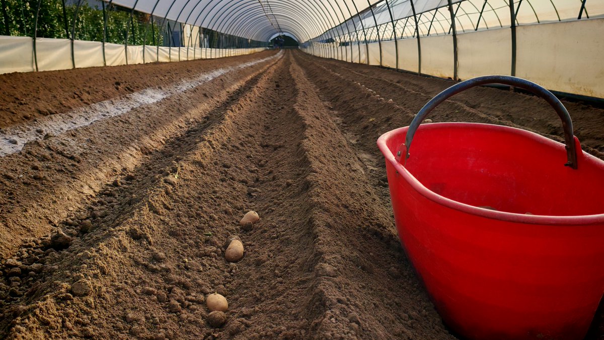 Lilli Ferraro 🇮🇹🇺🇲🇨🇦🇿🇦 tweet media