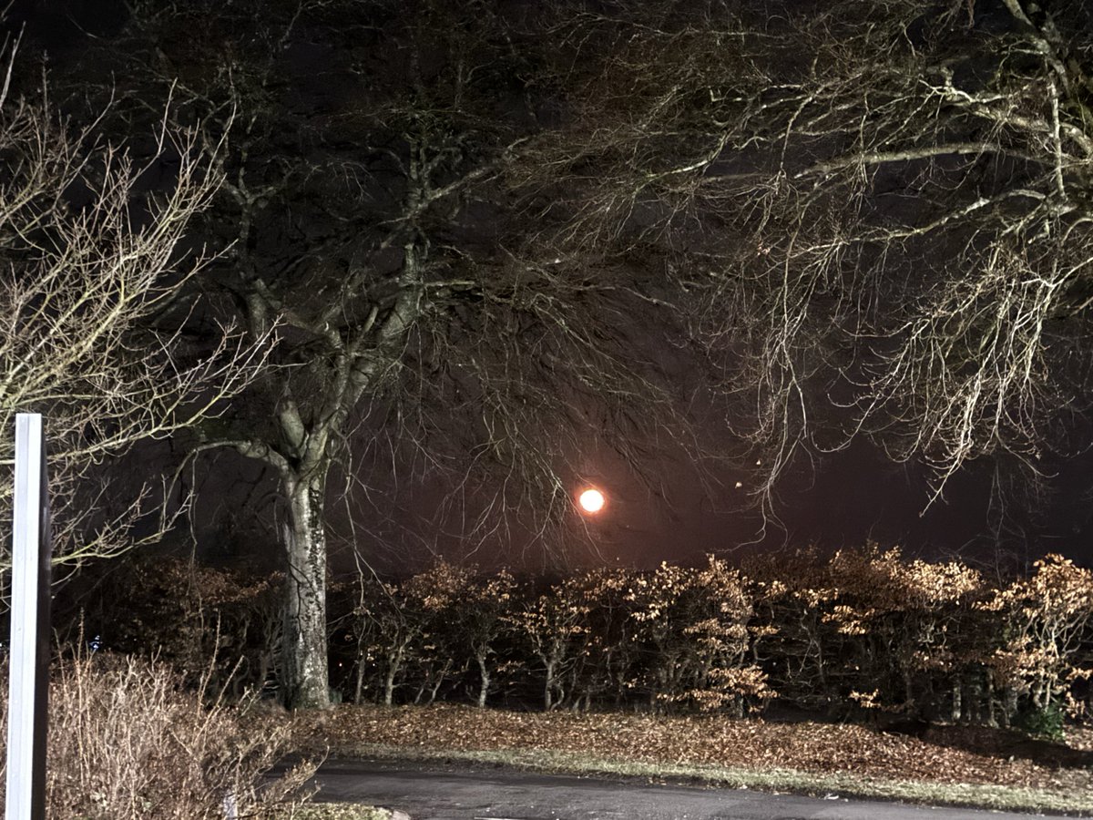 Rem ⪩ ⪨ 🍉🏴󠁧󠁢󠁳󠁣󠁴󠁿 tweet media