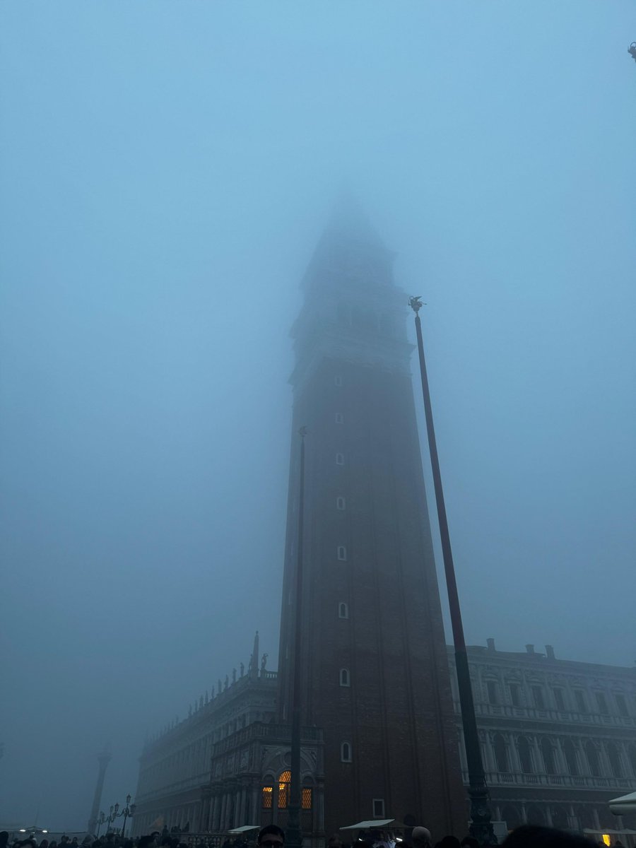 ThisIsRellow tweet media