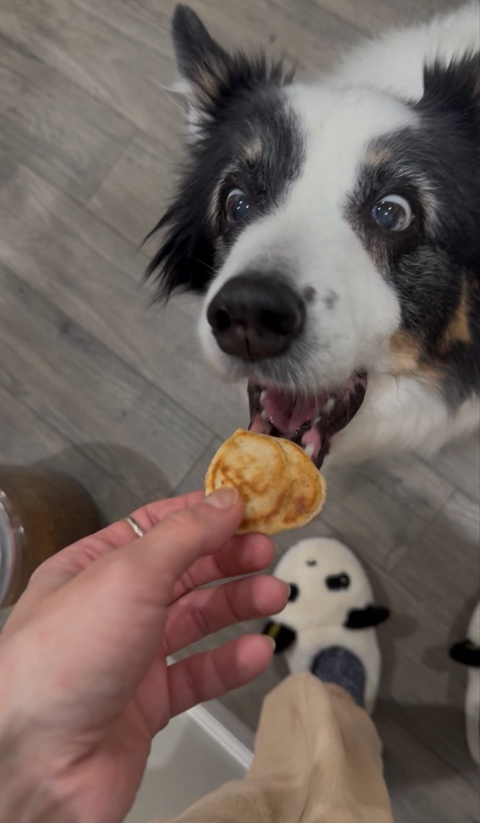 𝐄𝐦𝐳 tweet media