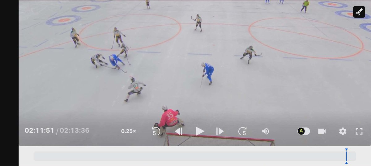 Offside??? Ett Rån är vad det är #svbandy