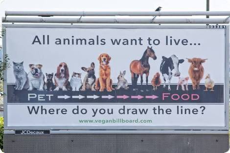 tinyjvne's tweet photo. I think about this advertisement a lot https://t.co/Ajmqmjx0Xr