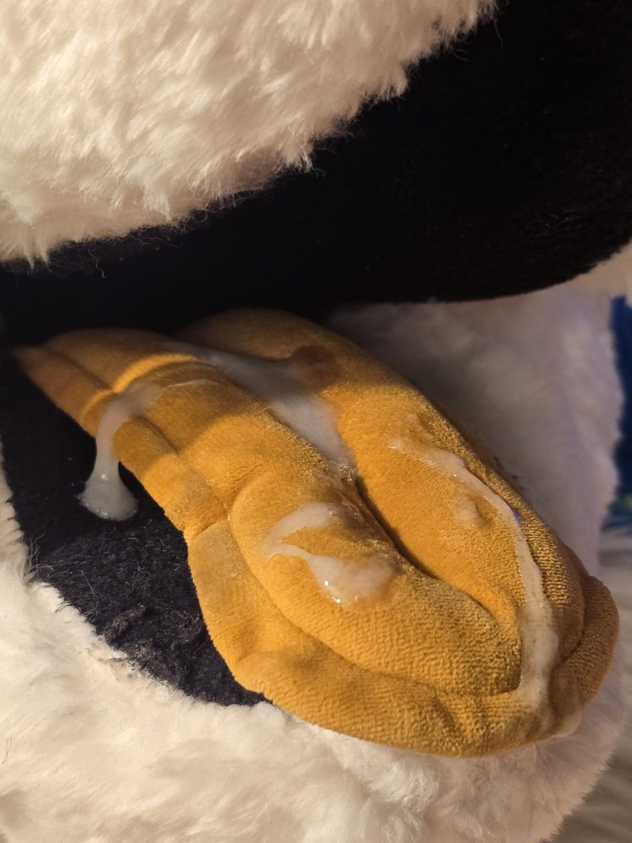 Piss Fox tweet media