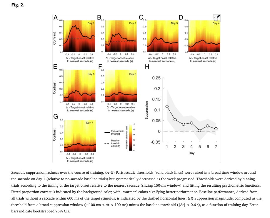 Bailey Klemmensen tweet media