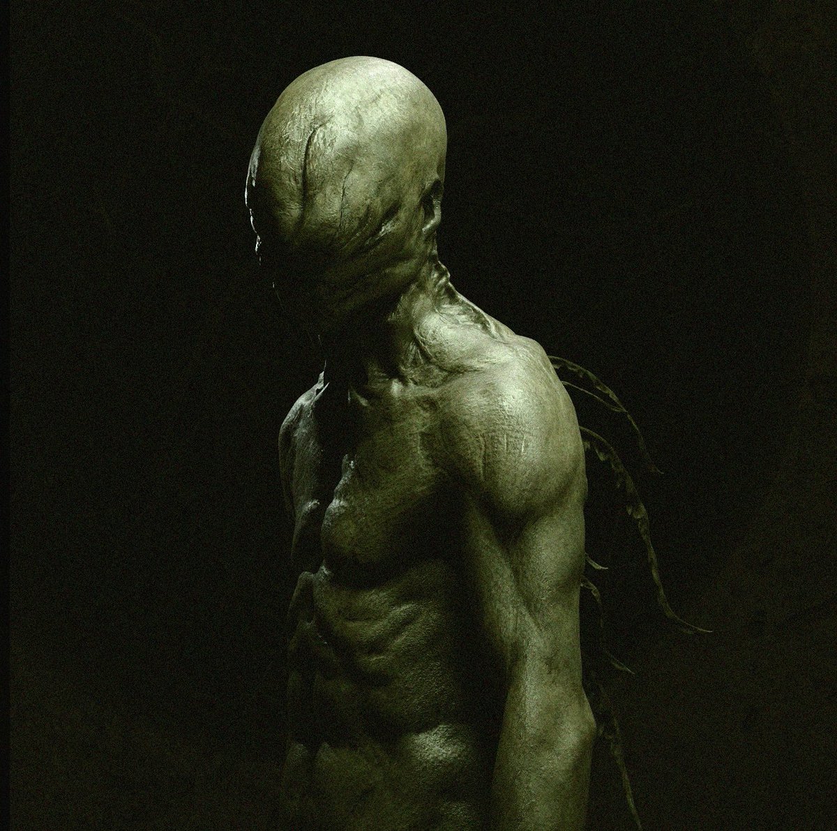 John Swartwout tweet media