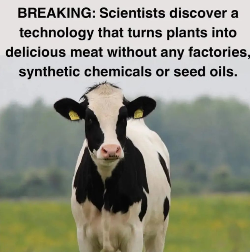 Giga Based Dad tweet media