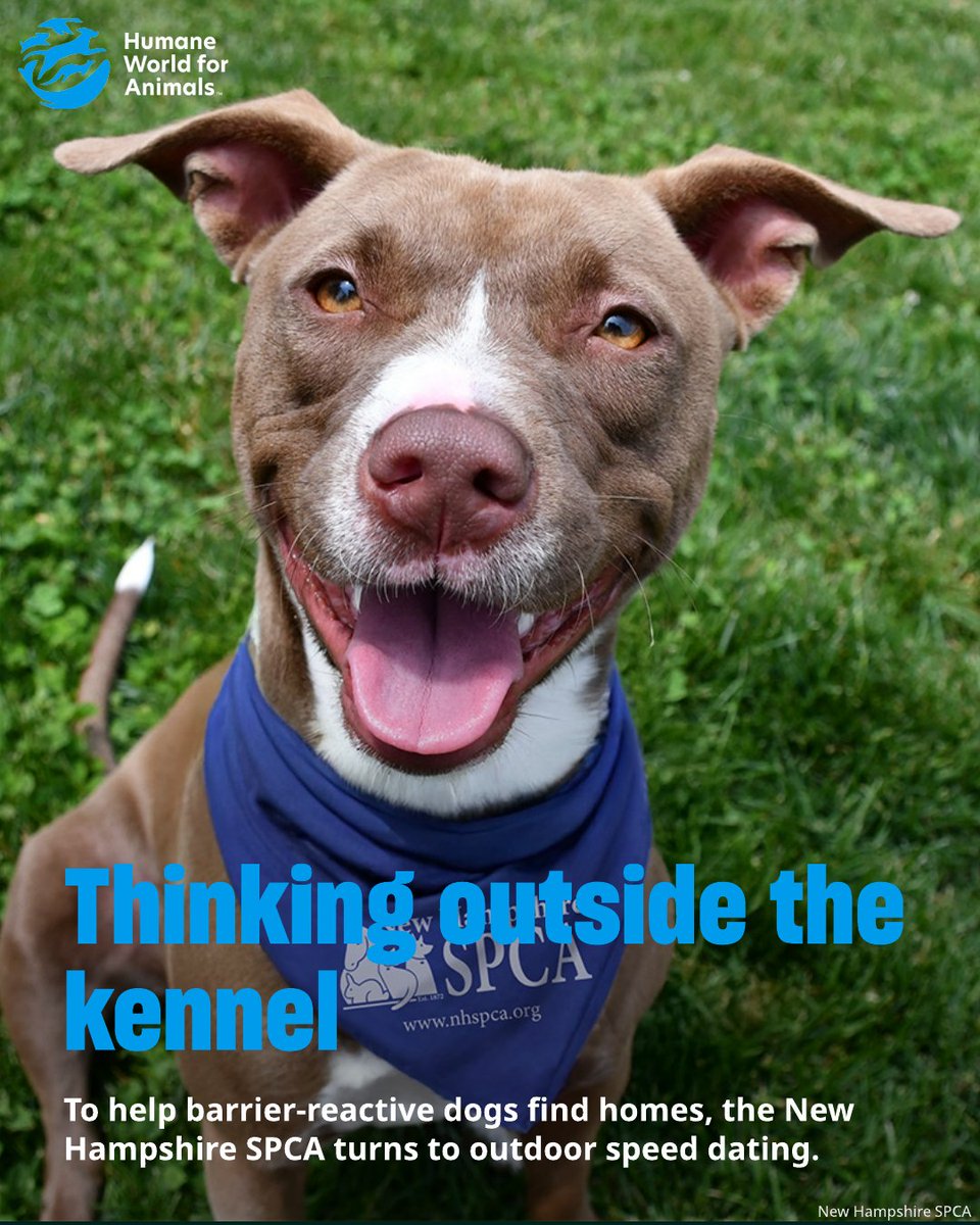 HumanePro tweet media