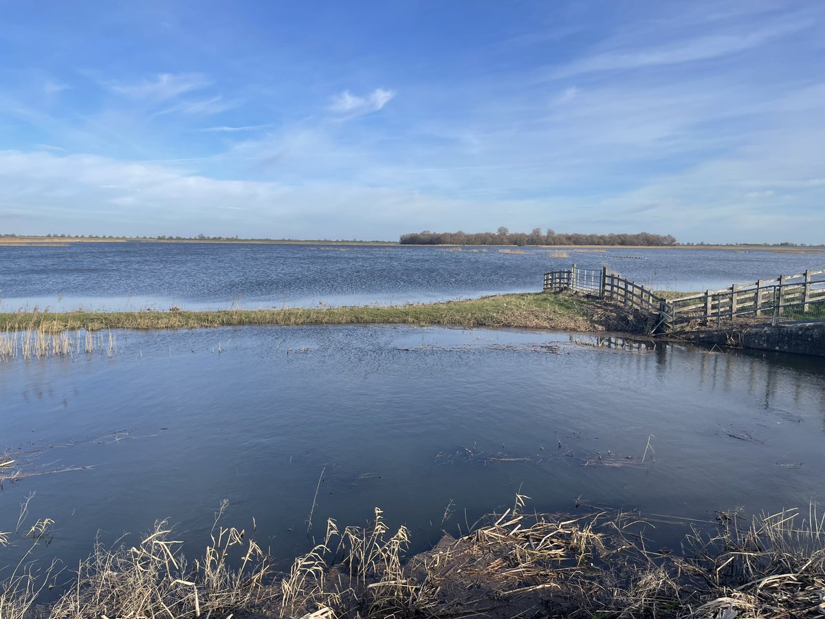 Neil Burt tweet media