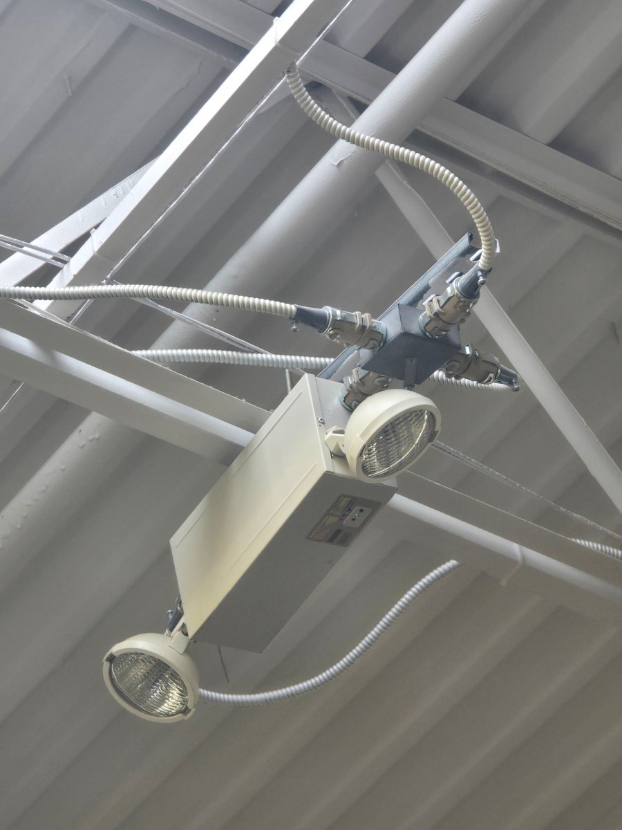 CryptikRick tweet media