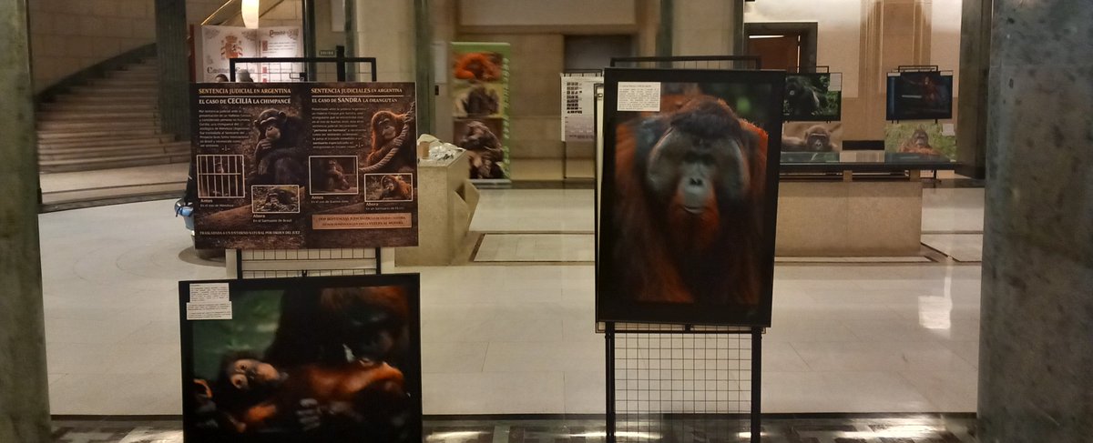 Pedro Pozas Terrados tweet media