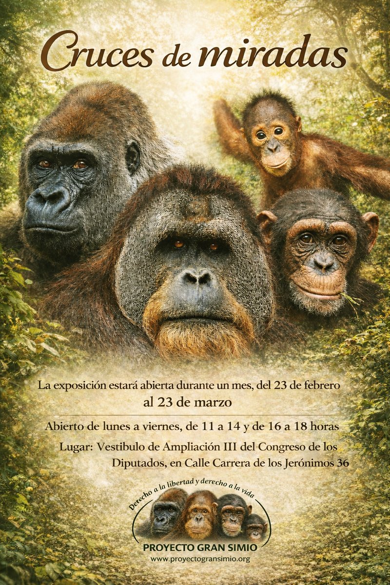 Pedro Pozas Terrados tweet media