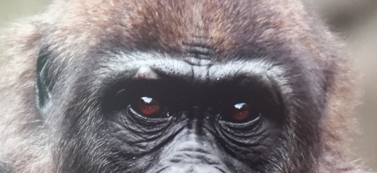 Pedro Pozas Terrados tweet media