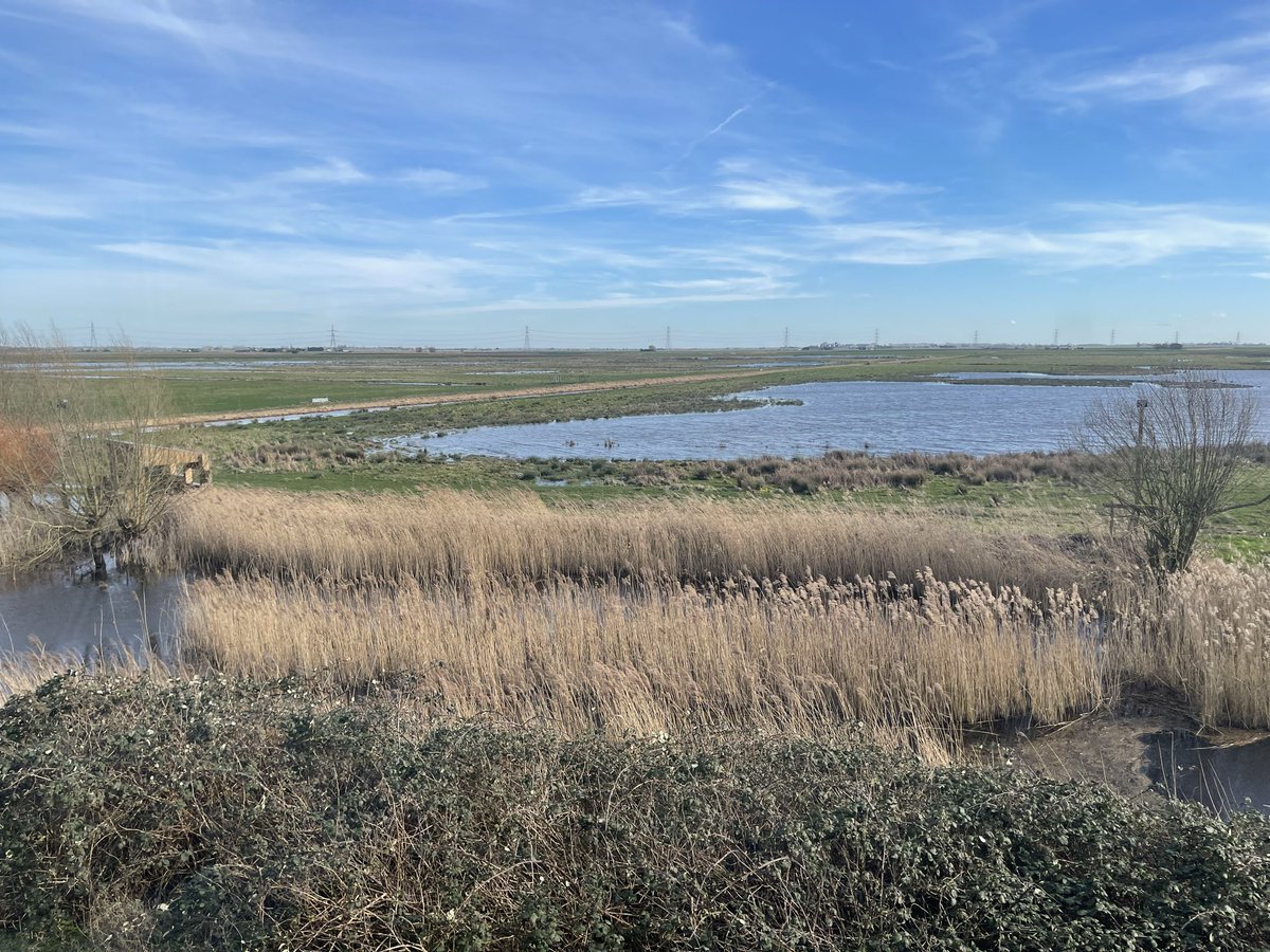 Neil Burt tweet media