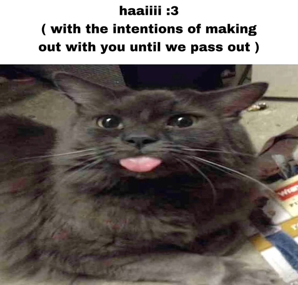 𝘑 𝘌 𝘚 𝘚 . tweet media