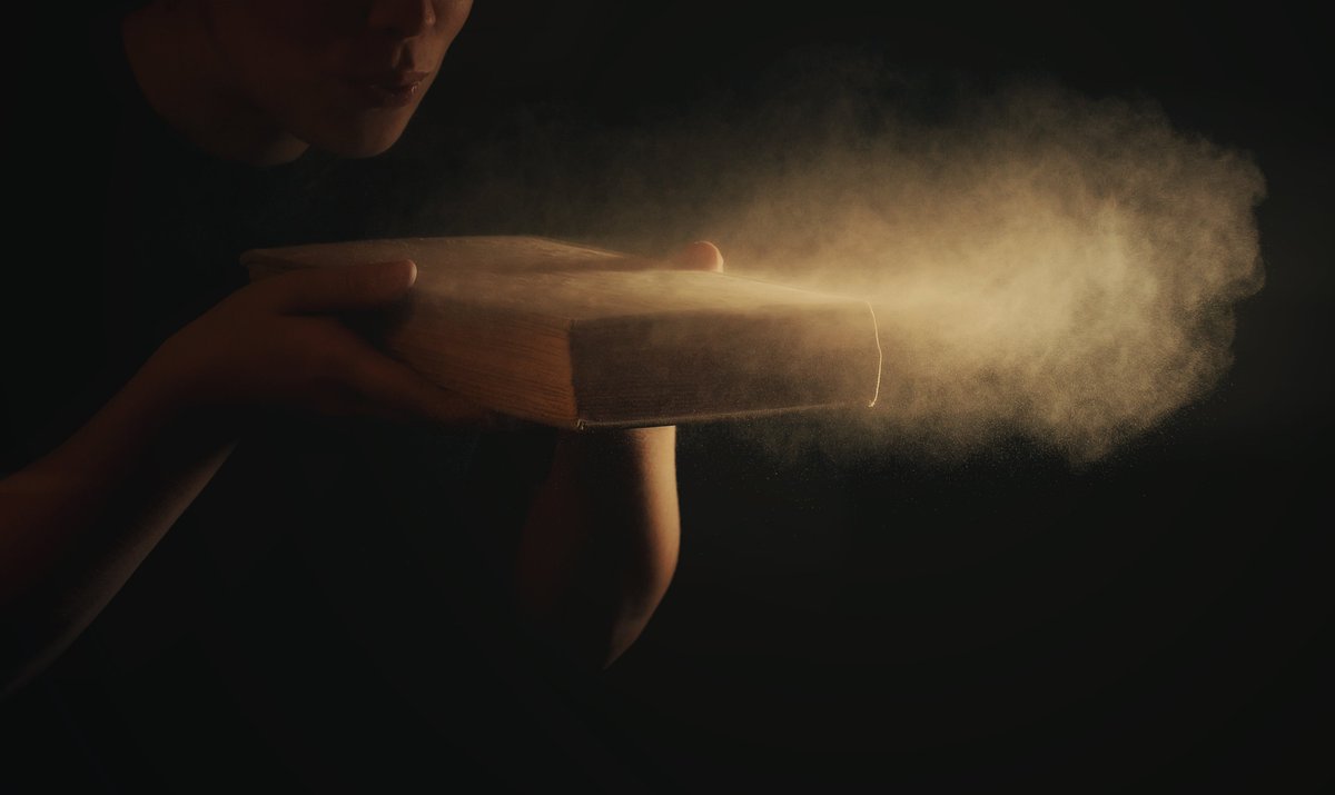 LeonGids tweet media