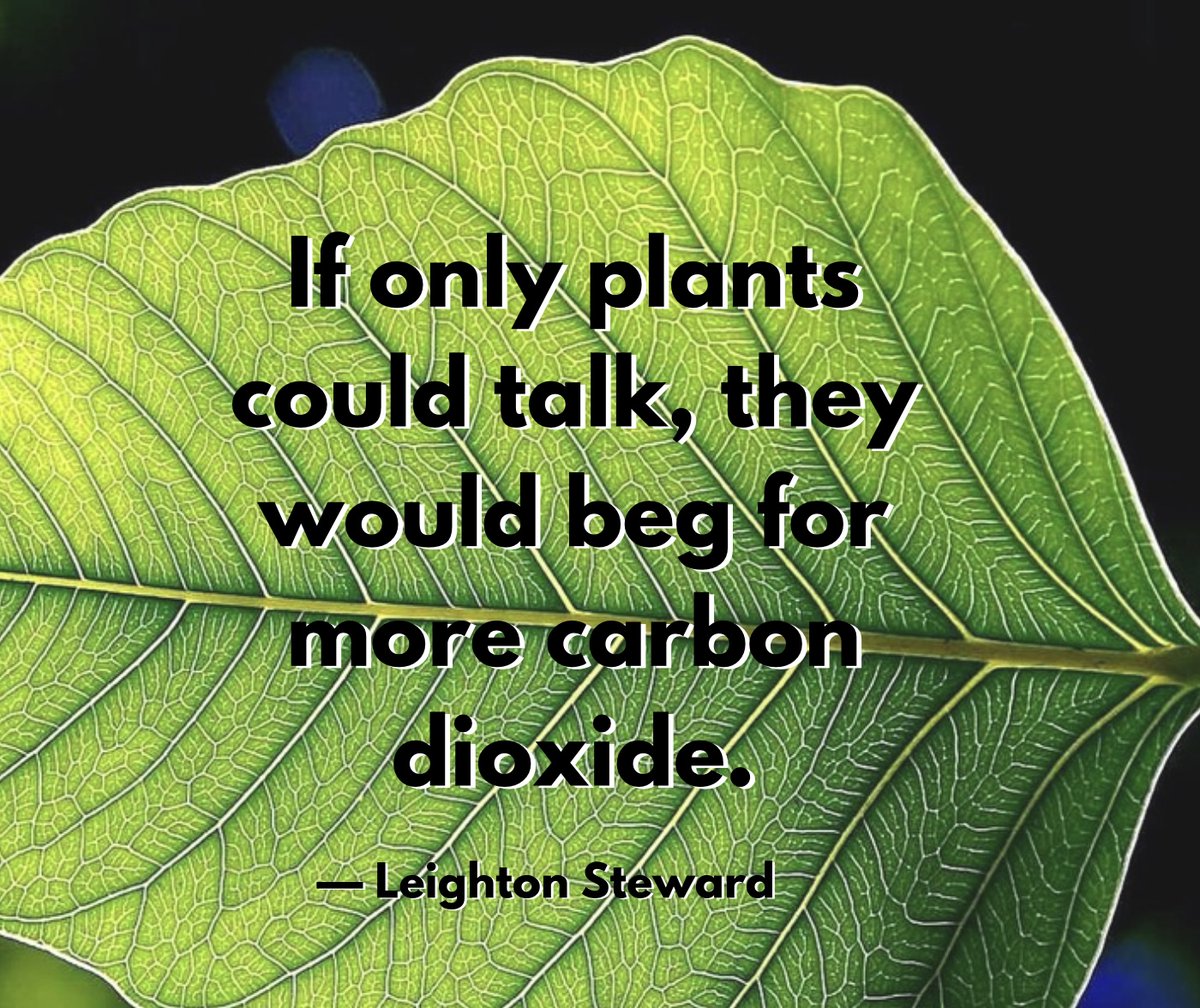 CO2 Coalition tweet media