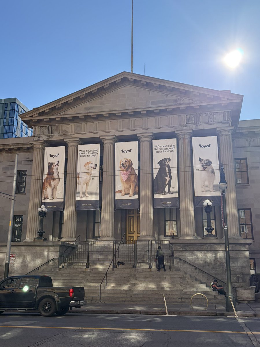 Brenda Eap, PhD tweet media