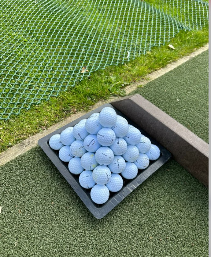 rose_manta's tweet photo. ⛳️ https://t.co/RVJB4ohjp8