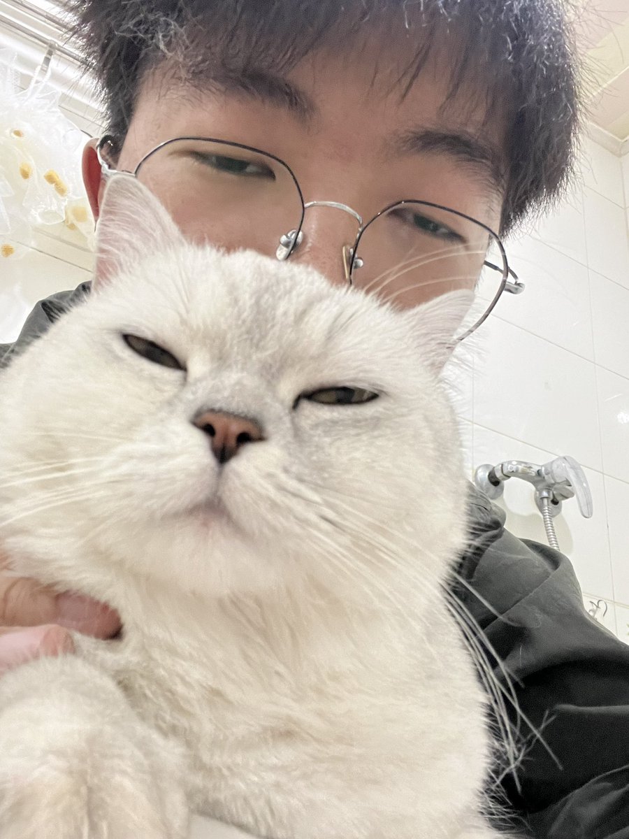 凯凯凯凯龙 tweet media