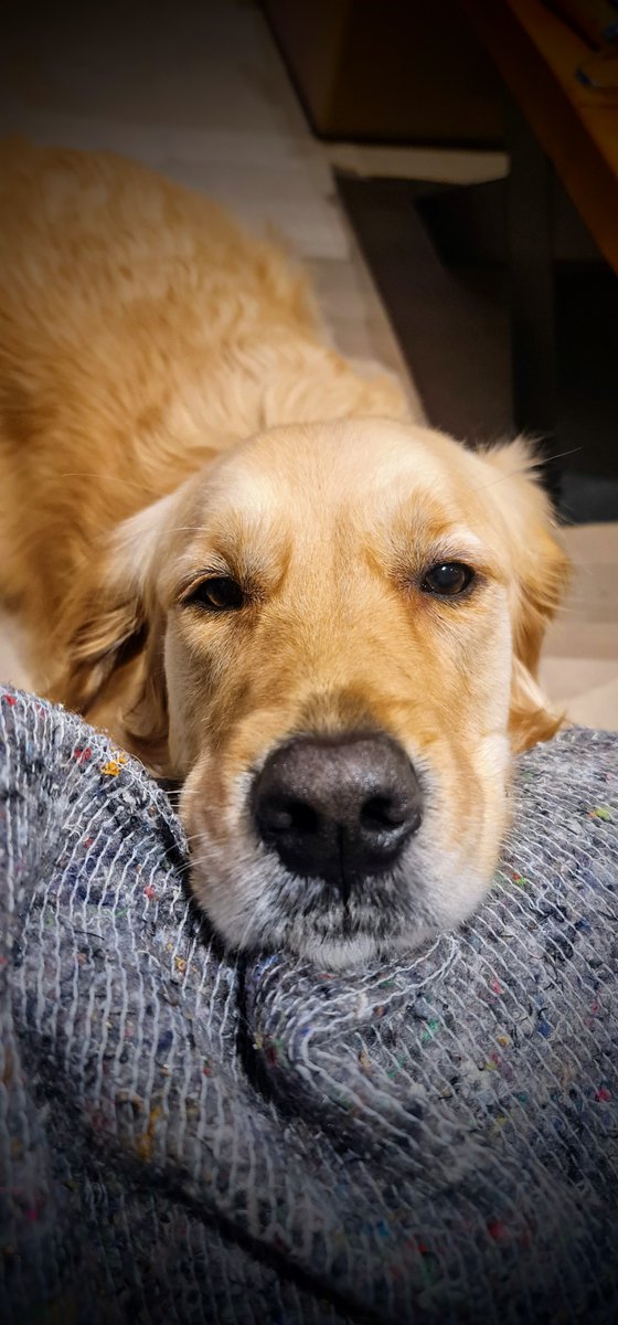 Benjamin M Esterson tweet media