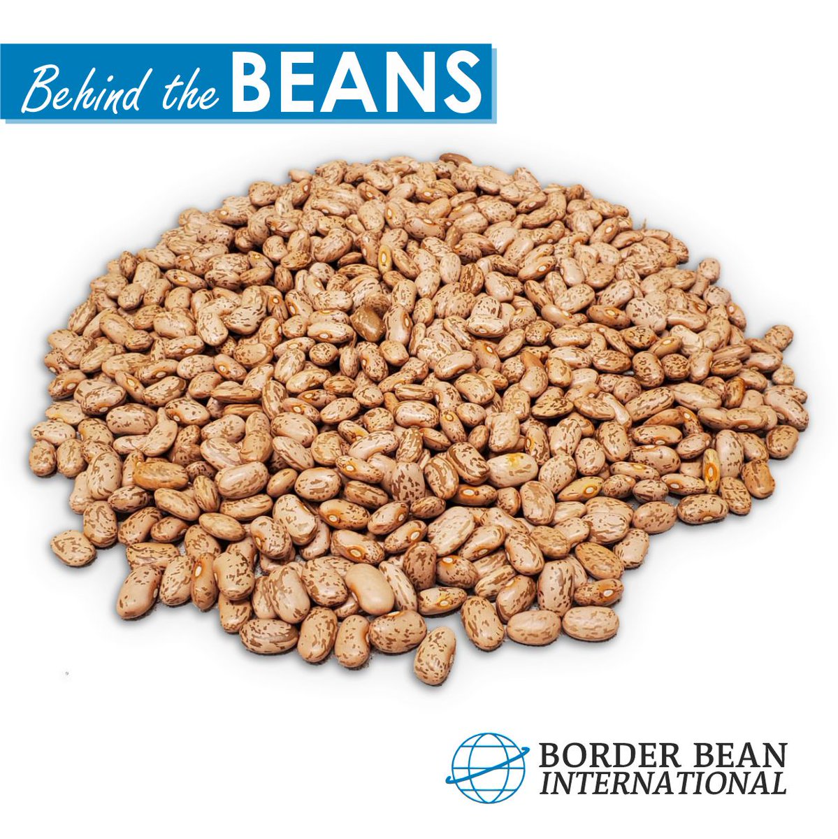 Border Bean International (@BorderBeanInt) / Posts / X