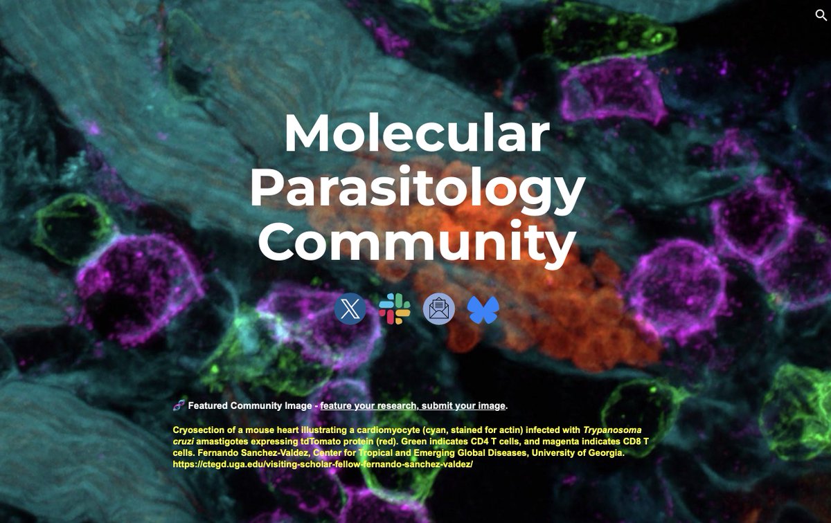 parasitesrule tweet media