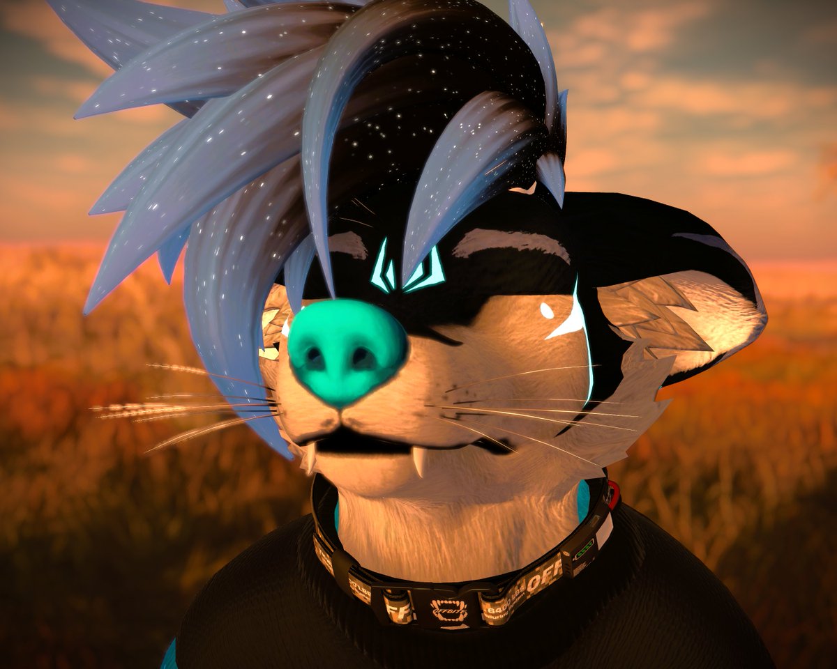 Redux Pionn tweet media