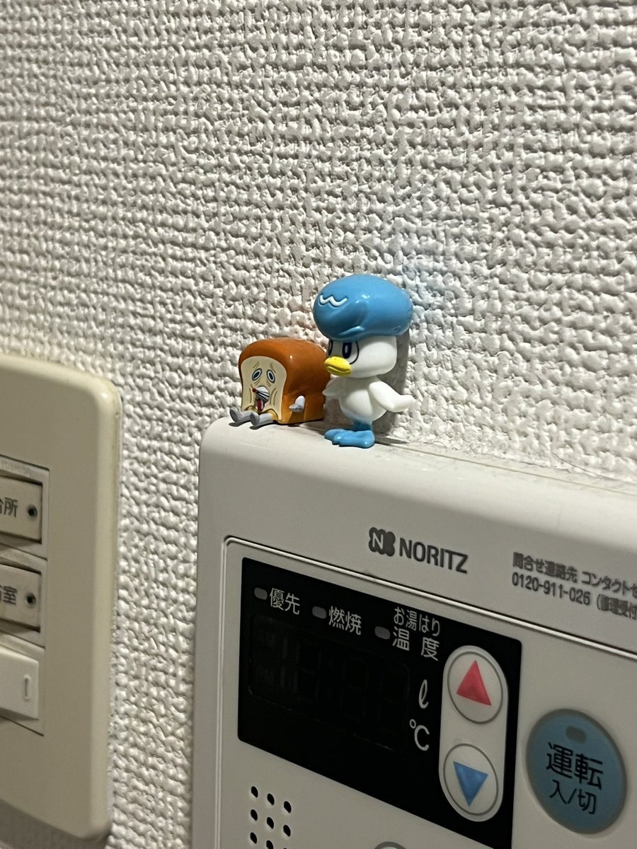 ぽ tweet media