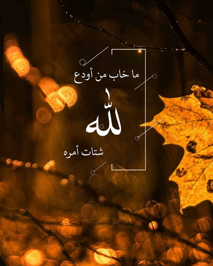 رِسالة لكَ🧡..