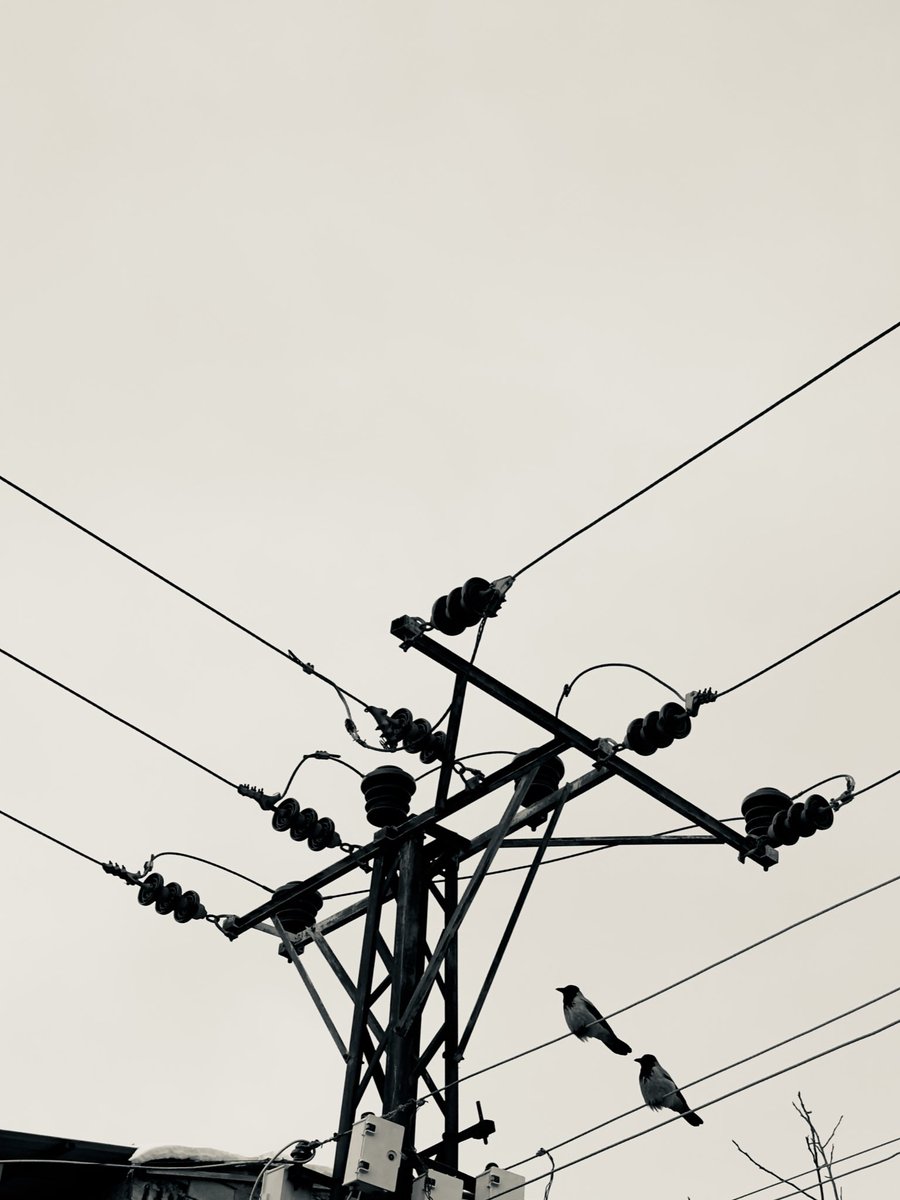 Nilüfer tweet media